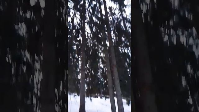 Кормлю белочек и зайцев! Бегу в магазин !! У нас опять похолодало( Всем хорошего мирного дня!