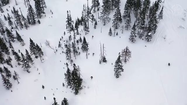 Backcountry Mamay смотреть онлайн