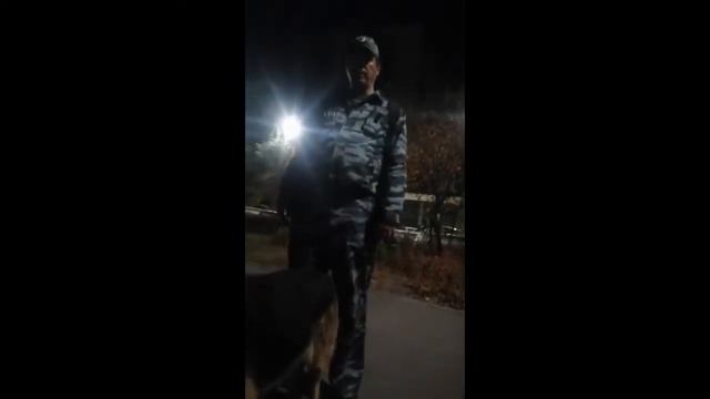 В парке мужчина грозит пистолетом прохожему смотреть онлайн