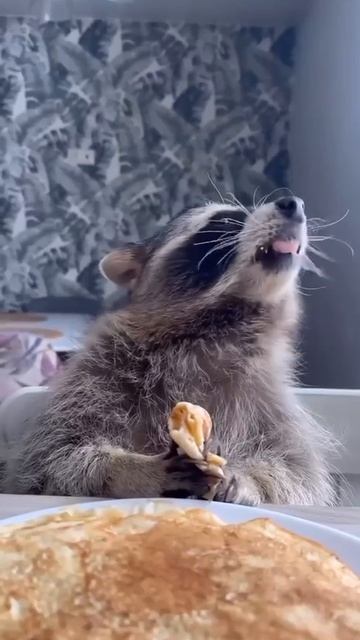 масленица.mp4 смотреть онлайн