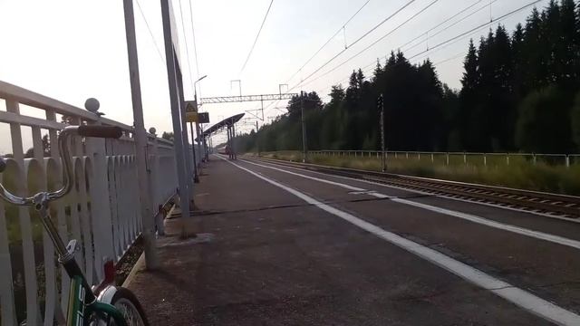 Электропоезд ЭС2Г-126 ласточка и электропоезд ЭВС1-06 сапсан смотреть онлайн