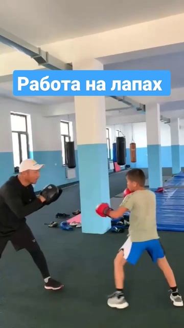 Работа на лапах тренер Азиз Анетов по ММА Туркестан