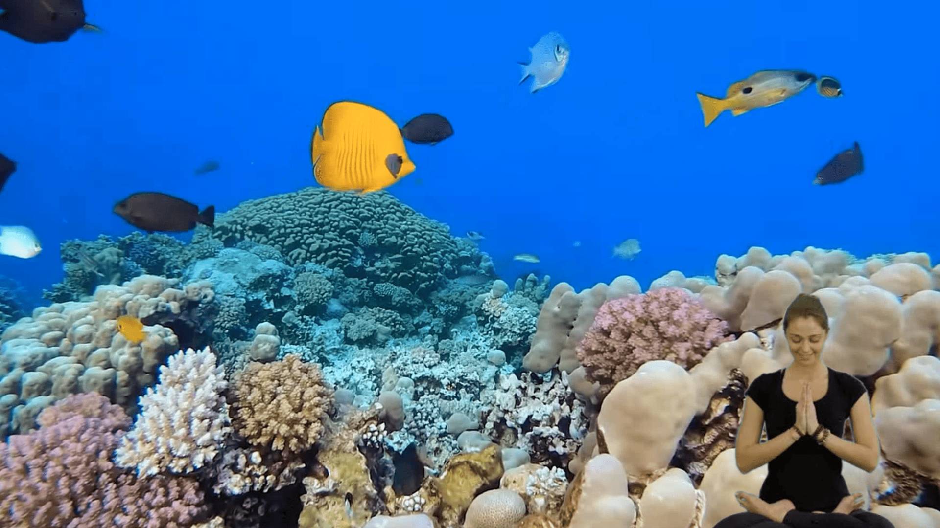 Послушайте эту музыку и вам станет легче Нежная музыка,успокаивает нервную систему и радует душу смотреть онлайн