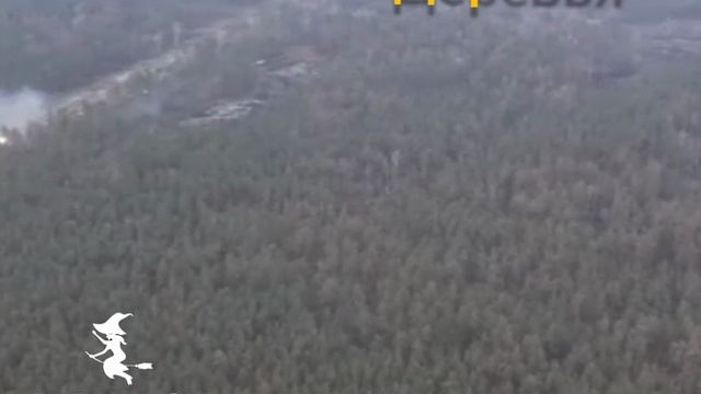 новая песня Деревья от Baba Yaga смотреть онлайн