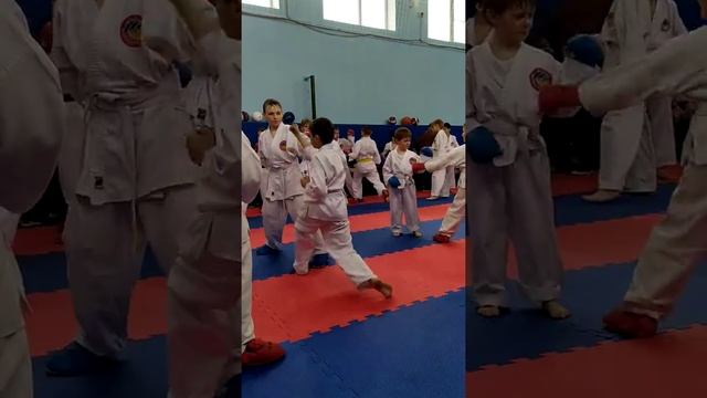 В Клетске прошли экзамены по каратэ 07.03.2020 смотреть онлайн