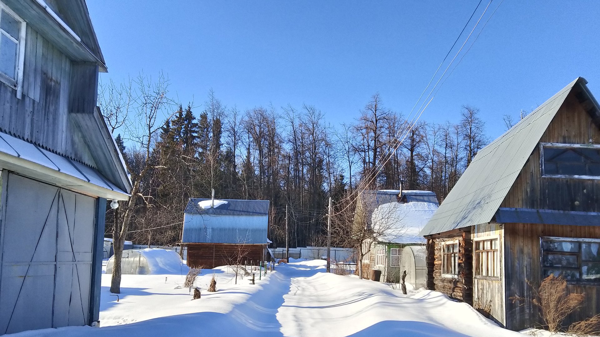 Дачный стрим от 01.03.25 смотреть онлайн