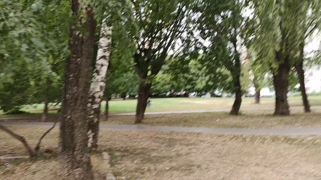 С горки на велосипеде во дворе. 01.09.2022 смотреть онлайн