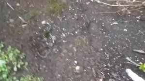 Весна идет, Весне дорогу.🌷