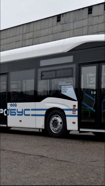 Электробусы КАМАЗ для Таганрога смотреть онлайн