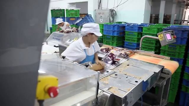 Полуавтоматическая упаковочная машина Ipeka PackMaster смотреть онлайн