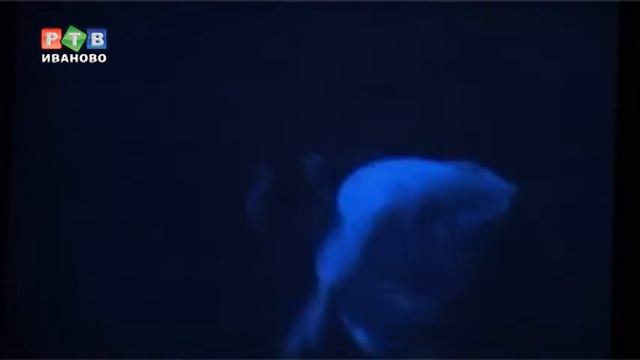 Екатерина Образцова в гостях у "Муравейника" смотреть онлайн