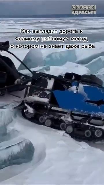 Нужно рыбе о «клевых местах» рассказать… Ей туда проще добираться#снастиздрасьте смотреть онлайн