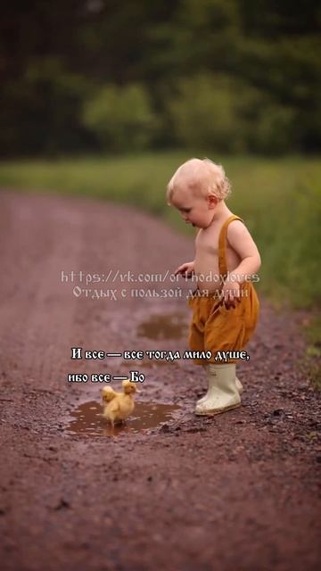 Силуан Афонский. О воле Божией и о свободе смотреть онлайн