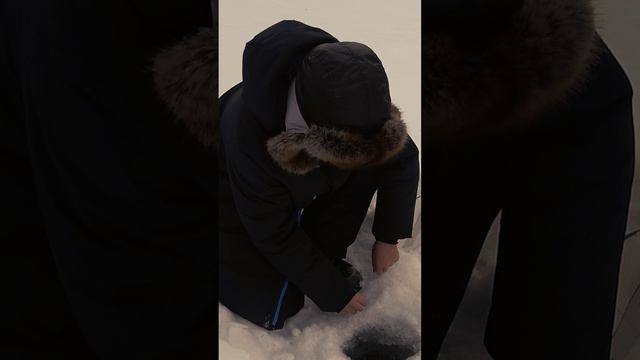 Секу милый мой смотреть онлайн