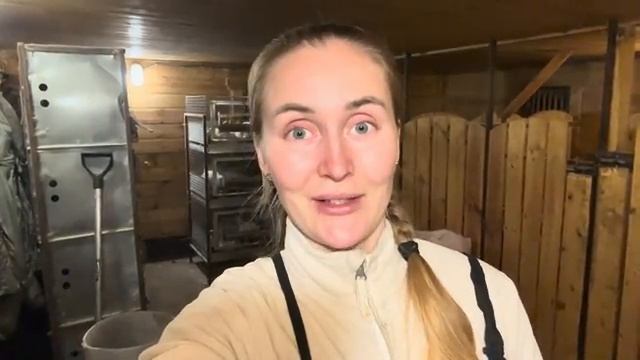 Сделали первую домашнюю колбасу! Планы на катумских овец! Интересная деревенская жизнь! смотреть онлайн