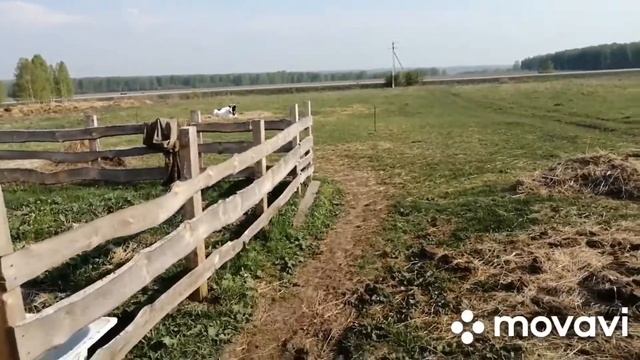 Дела по хозяйству. смотреть онлайн