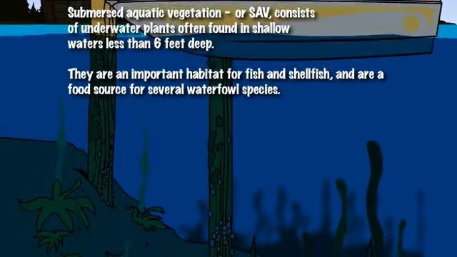 Submersed Aquatic Vegetation 6.6.1 смотреть онлайн