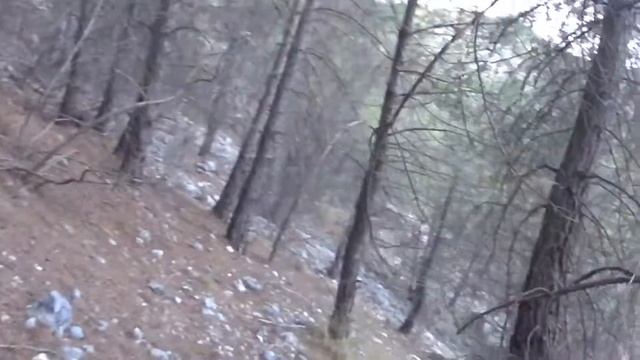 Woodcock hunting hunter снайперская охота смотреть онлайн