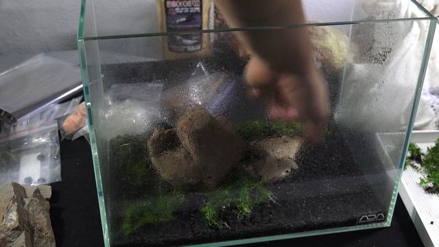 ADA Mini S | Revival Part 2 4K смотреть онлайн