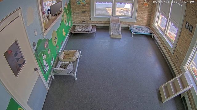 Live Camera Axis P3245-LVE смотреть онлайн