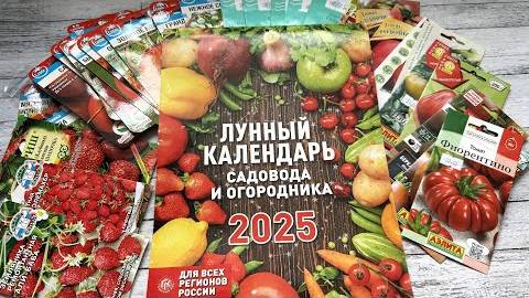 Лунный посевной календарь на 2025 год. Благоприятные дни для посева семян на рассаду смотреть онлайн