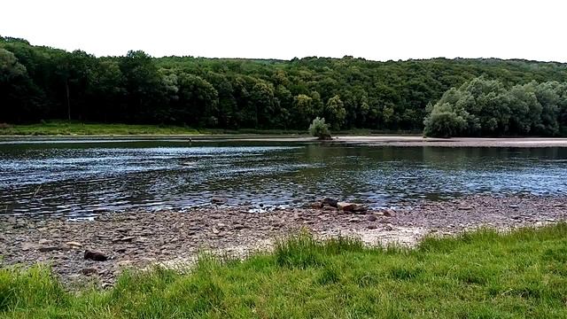 Инструментальная музыка Сергея Чекалина — Речка Днестр смотреть онлайн