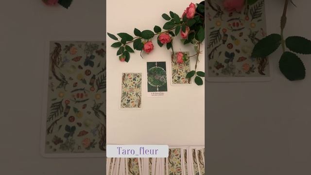 🍒🌿🥑КАРТА ДНЯ 13 мая 2024 🍉💖🌿 смотреть онлайн