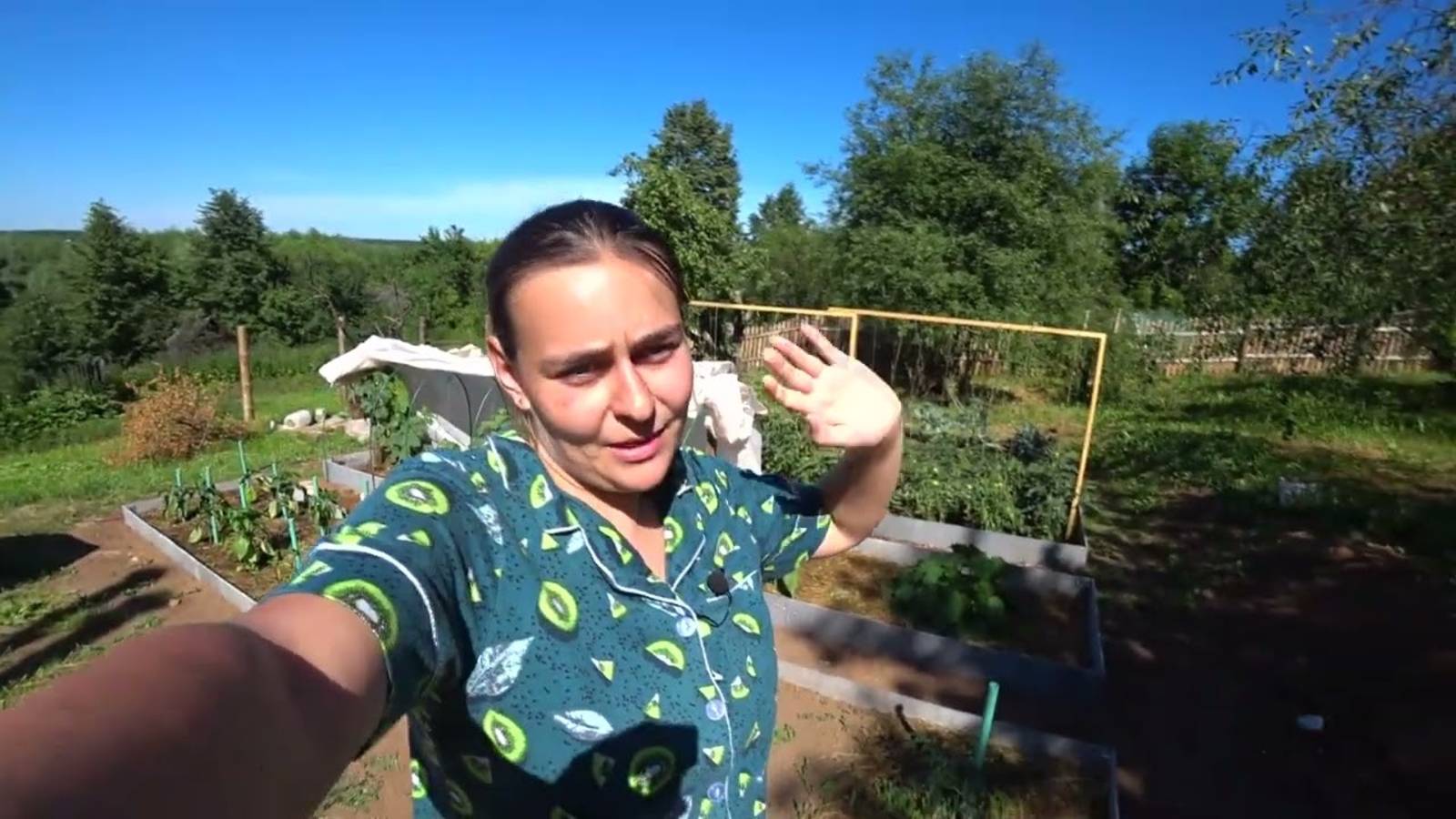 Обзор огорода и первый урожай порадует не только нас смотреть онлайн