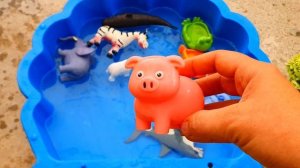 Изучите названия и звуки  животных -  осьминога, краба, акулы, слона, утки, лошади, акулы