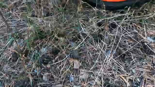 Мотоциклы на природе.Мото Клип.Cinematic Video. смотреть онлайн