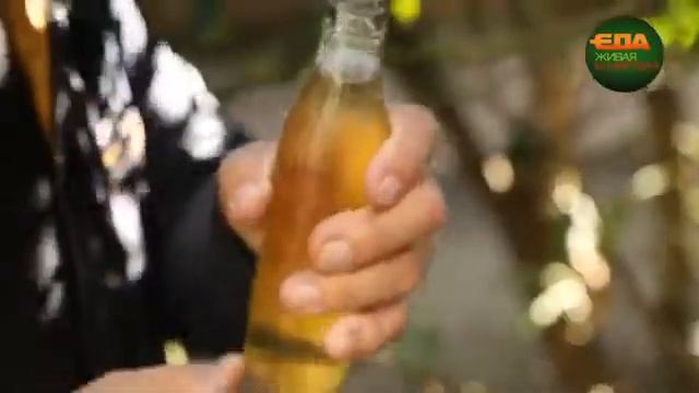 История лимона!🍋 смотреть онлайн