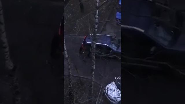 Брюнетка за рулëм (юмор).mp4 смотреть онлайн