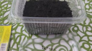 СЕЕМ ДЕЛЬФИНИУМ ТАК/МНОГОЛЕТНИКИ ИЗ СЕМЯН