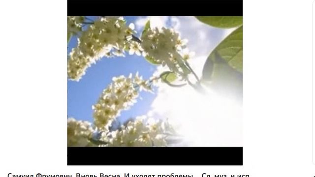 Забытые концерты ОП-25, Концерт 080, ВЕСНА-25 в ОП, муз. исп. С. Фрумович смотреть онлайн