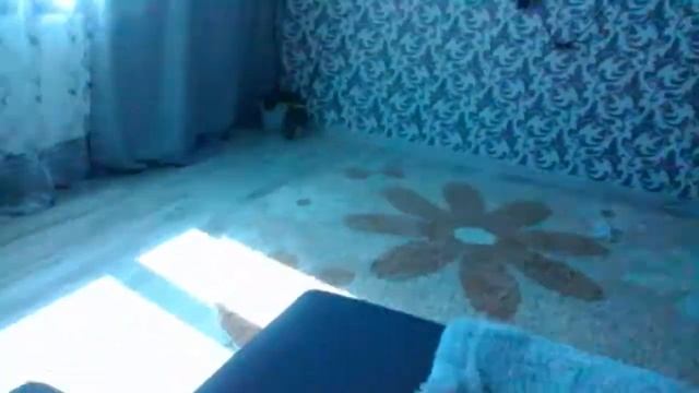 Кет бой и кексик лучший бой смотреть онлайн