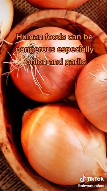 Pet Nutrition Mistakes смотреть онлайн