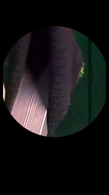 видео в шапке профиля