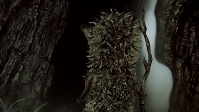 Ежик в тумане смотреть онлайн