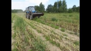 Ботвоудалитель лука, моркови