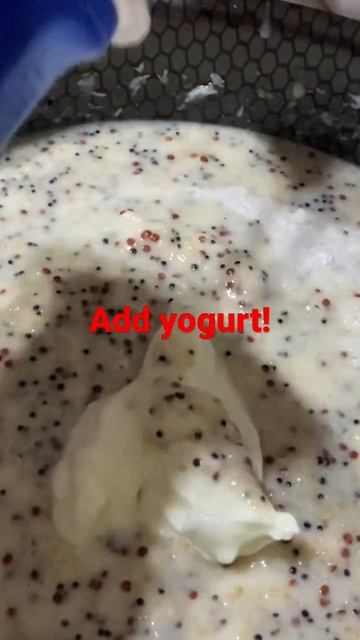 (3) Quinoa Yogurt Cake! Gluten Free! Super Food In Cairo, Egypt! Cairo Rocks! Quinoa Rocks! Happy!