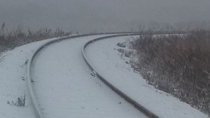 ЗИМА. сильный снегопад_08.00