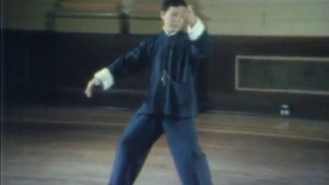 Мастер Tung Kai Ying - медленная форма (часть 2)