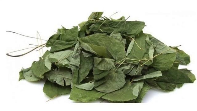 EPİMEDYUM ZARARLARI - FAYDALARI TÜM YAN ETKİLERİ смотреть онлайн