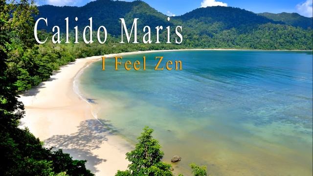 I Feel Zen