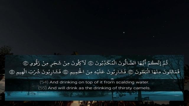 Сура Вакиа Прекрасным голосом от которого тает сердце Чтец: Ахмед Худр смотреть онлайн