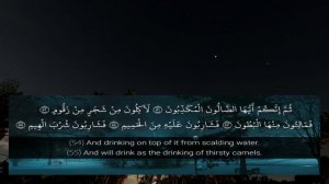 Сура Вакиа Прекрасным голосом от которого тает сердце 
Чтец: Ахмед Худр