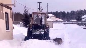 ТНВД ЮМЗ-6 из Пермского края от Виктора. Часть 3. Обкатка на тракторе.