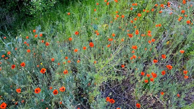 МАЙ 19 ПРИАЗОВЬЕ смотреть онлайн