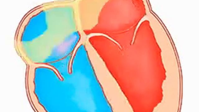 Video 2019 12 14 121415