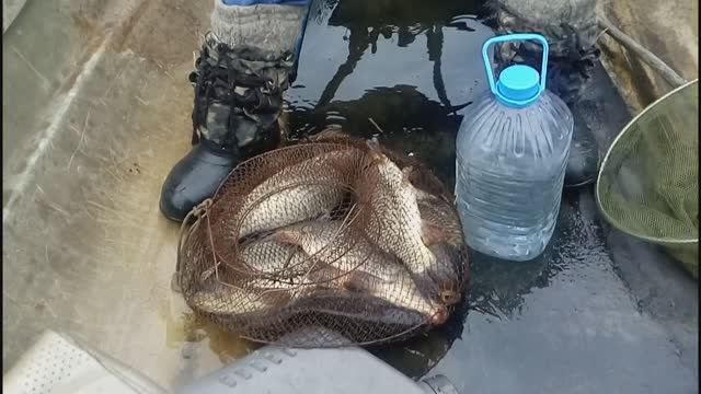 Рыбацкий альбом